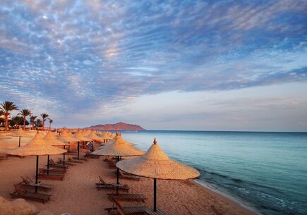 özel kurban bayramı bali turu