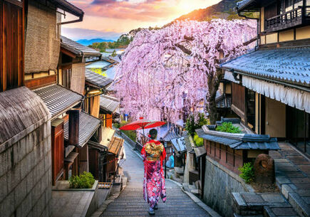 Japonya'nın Gizli Hazineleri Turu 9 gece