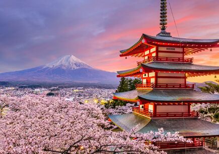 Japonya'nın Gizli Hazineleri Turu 9 gece